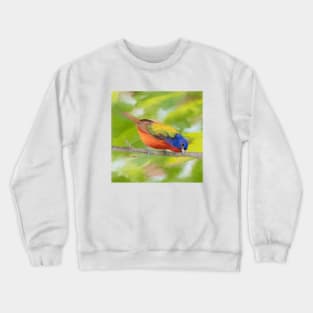 Painted Bunting painted by me Crewneck Sweatshirt